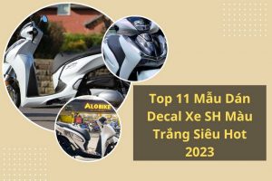 dán xe sh màu trắng