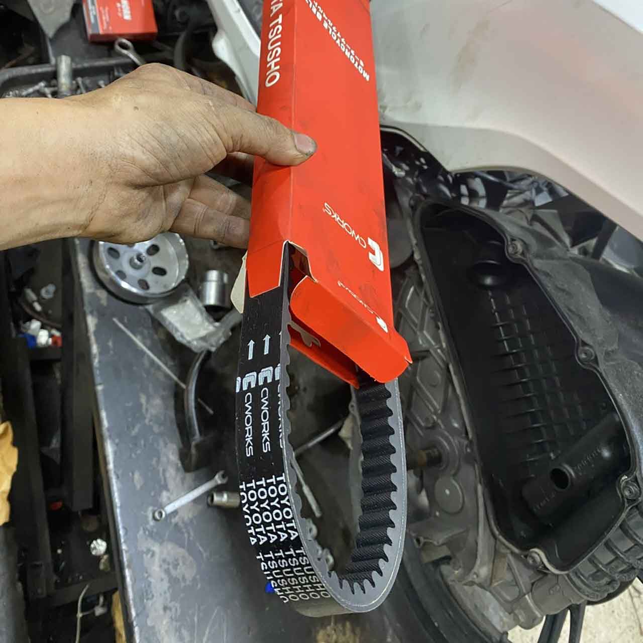 dây curoa toyota